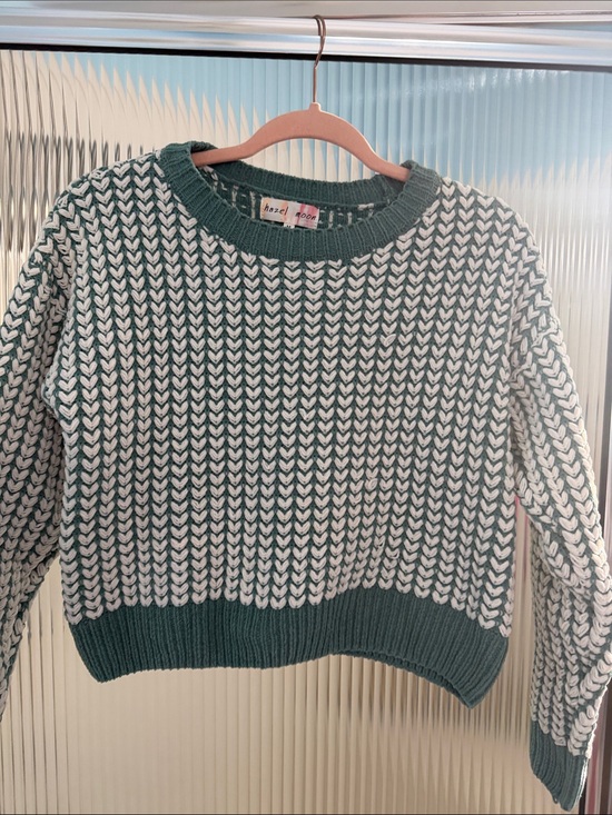 Hazel Moon Sweaters - Hazel & Co. Green and White Textured Crewneck Sweater
